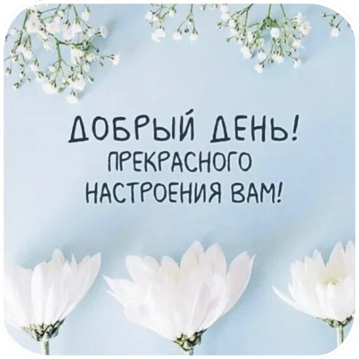 🌸 Стикер «Открытки» для Telegram