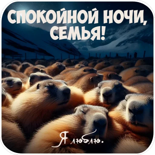🐶 Стикер «Открытки» для Telegram