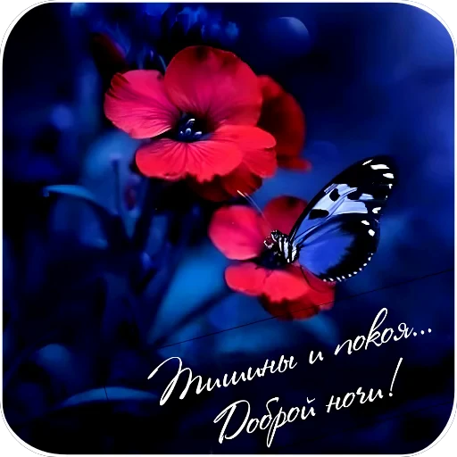 🌸 Стикер «Открытки» для Telegram