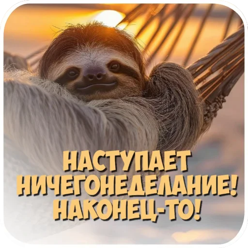🐦 Стикер «Открытки» для Telegram
