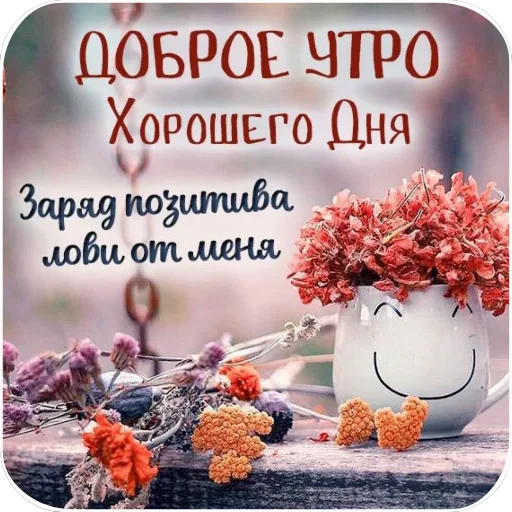 🌸 Стикер «Открытки» для Telegram
