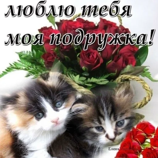 ❤️ Стикер «Открыточки» для Telegram
