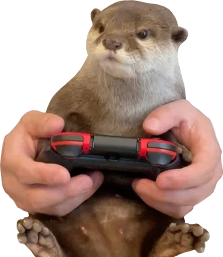 🎮 Стикер «Otters Gotta Ott 4» для Telegram