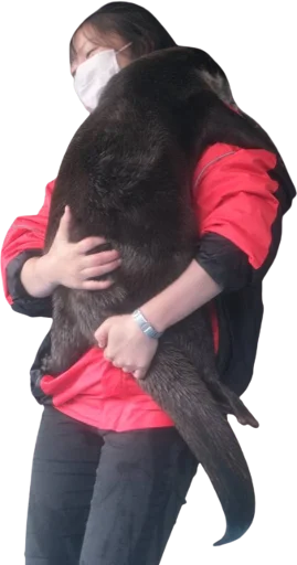 🦦 Стикер «Otters Gotta Ott 4» для Telegram