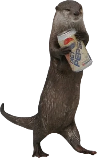 🥤 Стикер «Otters Gotta Ott 4» для Telegram