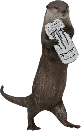 ⚡ Стикер «Otters Gotta Ott 4» для Telegram