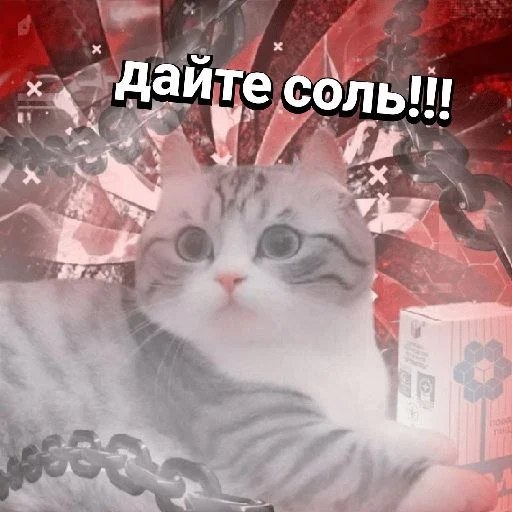🧂 Стикер «Plants vs zombies мемы» для Telegram