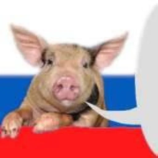 🇷🇺 Стикер «Ответы/Нет негативу» для Telegram