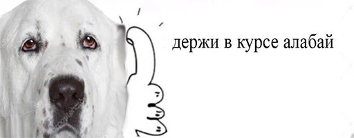 ❓ Стикер «Ответы/Нет негативу» для Telegram