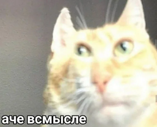 ❔ Стикер «Ответы/Нет негативу» для Telegram