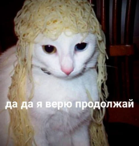 🐈 Стикер «Ответы/Нет негативу» для Telegram