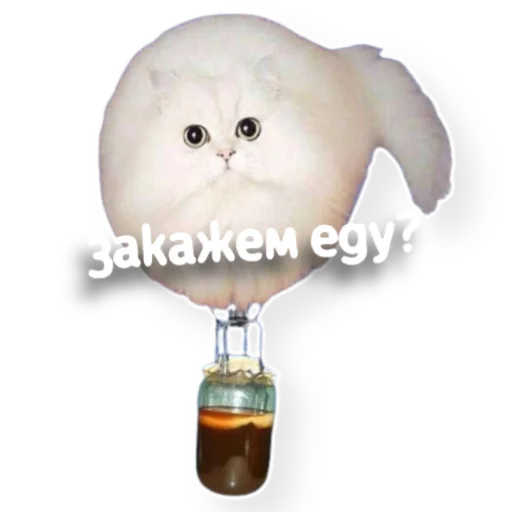 🍣 Стикер «котыдоброты» для Telegram
