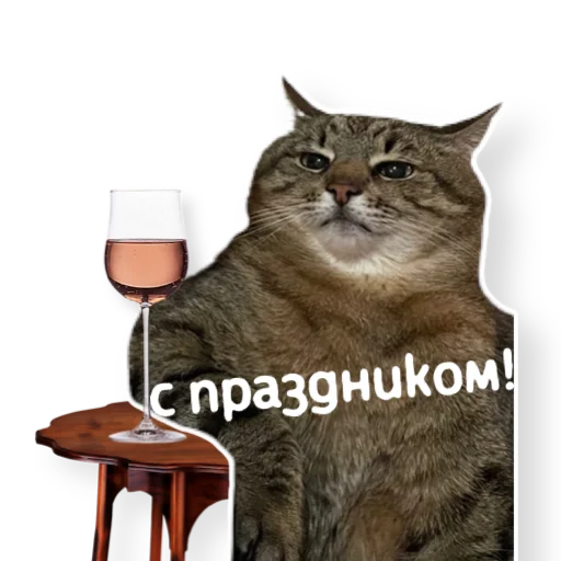 🥳 Стикер «котыдоброты» для Telegram