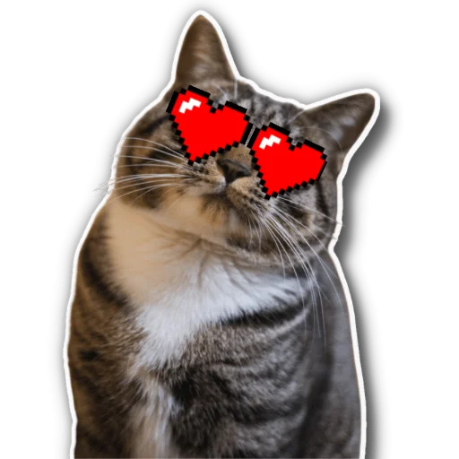 😻 Стикер «котыдоброты» для Telegram