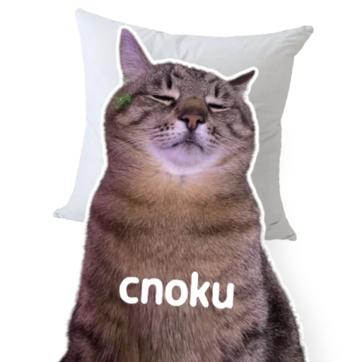 😴 Стикер «котыдоброты» для Telegram