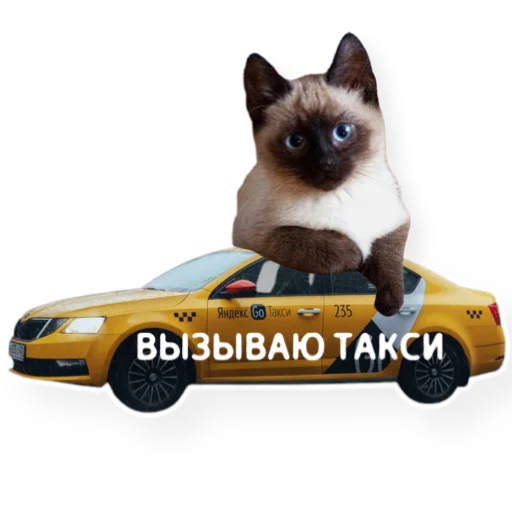 🚕 Стикер «котыдоброты» для Telegram