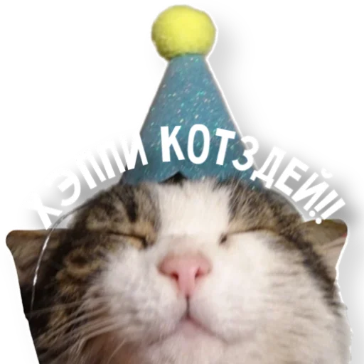🥳 Стикер «котыдоброты» для Telegram