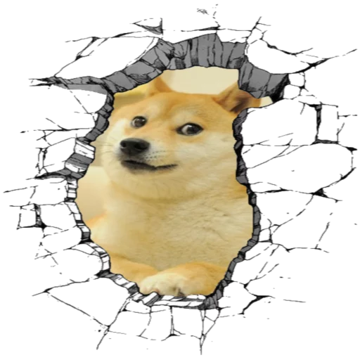 🐶 Стикер «Outer Gaf 2» для Telegram