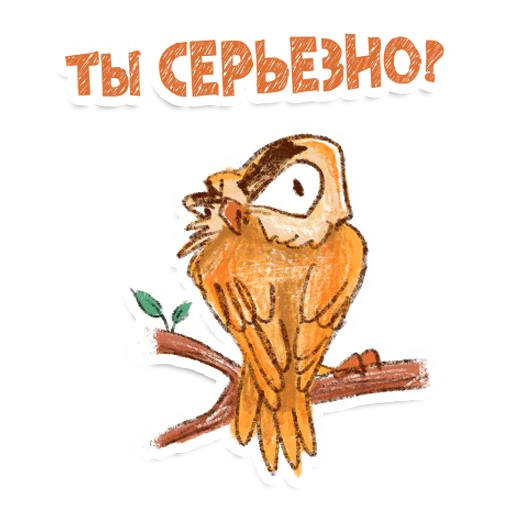 😳 Стикер «Owl» для Telegram
