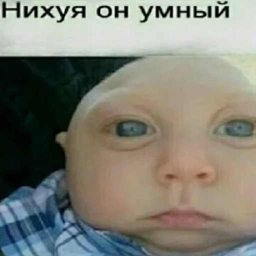🤓 Стикер «П остирония» для Telegram