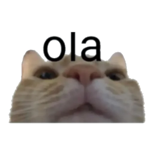 👋 Стикер «Pablo» для Telegram