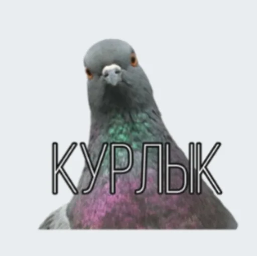 😌 Стикер «Pablo» для Telegram