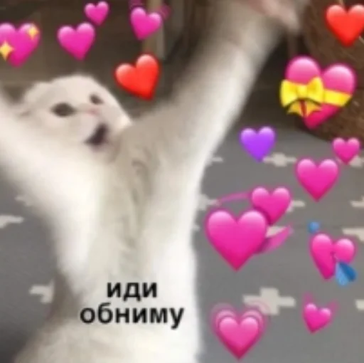 💕 Стикер «Pablo» для Telegram