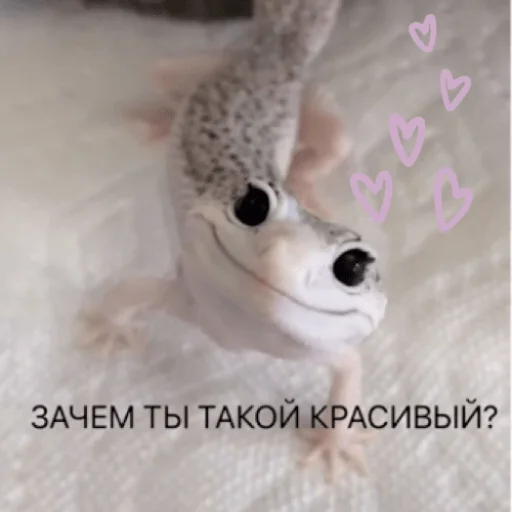 😍 Стикер «pacifist» для Telegram