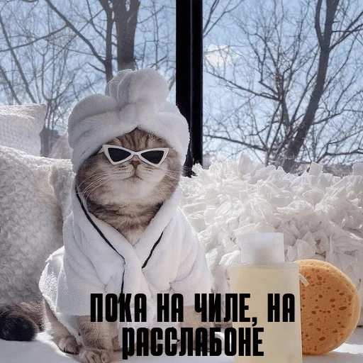 😎 Стикер «pacifist» для Telegram