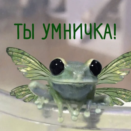 ✊ Стикер «pacifist» для Telegram