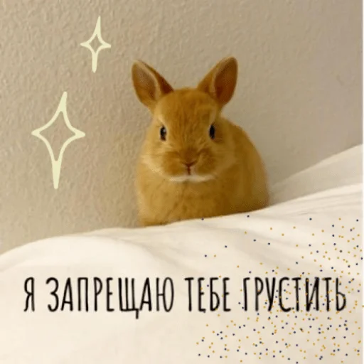 🙂 Стикер «pacifist» для Telegram