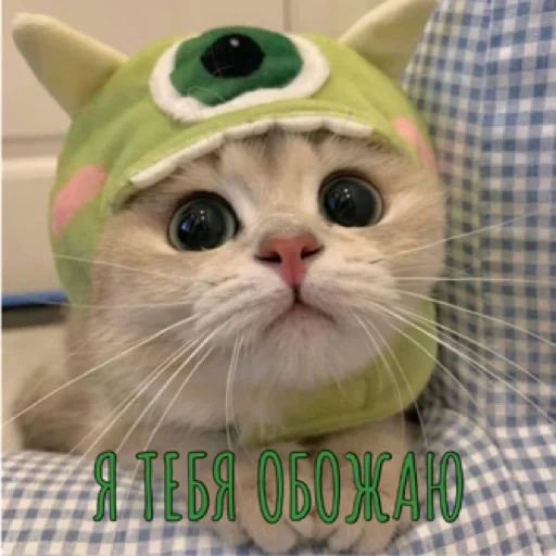 💚 Стикер «pacifist» для Telegram