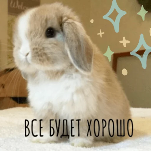 🧚 Стикер «pacifist» для Telegram