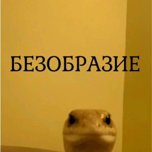 🐍 Стикер «pacifist» для Telegram