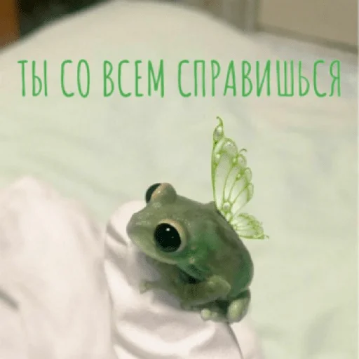 Стикерпак pacifist для Telegram