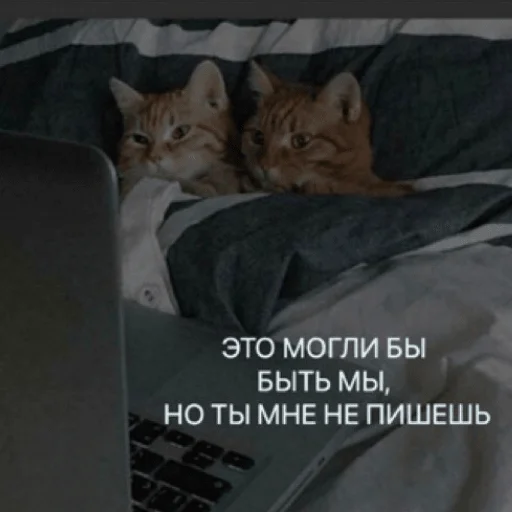 💕 Стикер «pacifist» для Telegram
