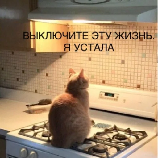 ☹️ Стикер «pacifist» для Telegram