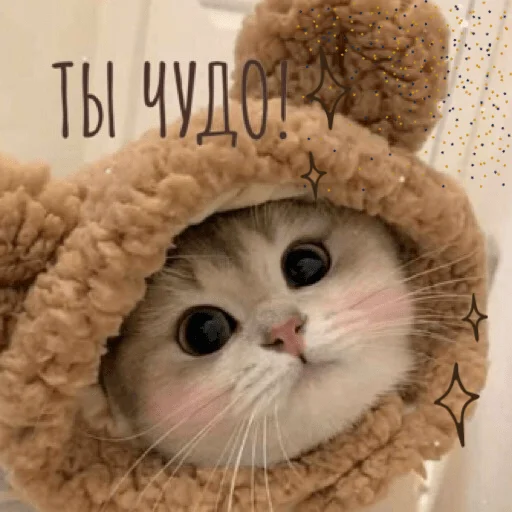 😃 Стикер «pacifist» для Telegram