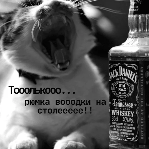 🥃 Стикер «pacifist» для Telegram