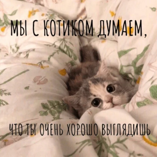 😍 Стикер «pacifist» для Telegram