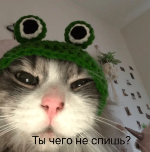 ❓ Стикер «pacifist» для Telegram