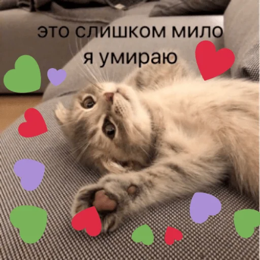 🤪 Стикер «pacifist» для Telegram