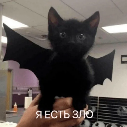 😈 Стикер «pacifist» для Telegram