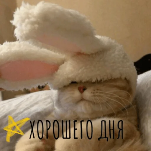 🌟 Стикер «pacifist» для Telegram