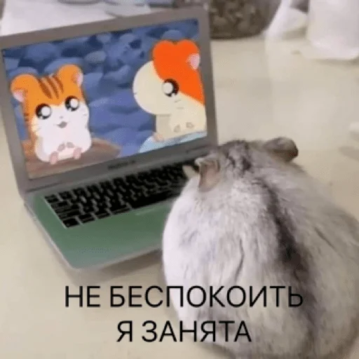 ❗️ Стикер «pacifist» для Telegram
