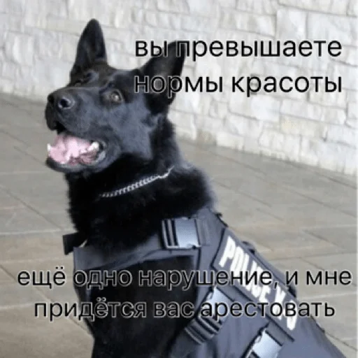 😍 Стикер «pacifist» для Telegram