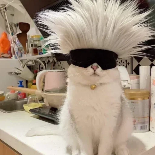 😎 Стикер «Кошки и котята» для Telegram