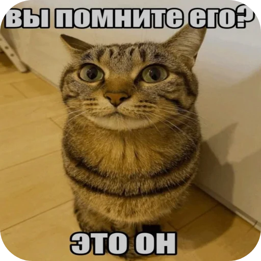 👍 Стикер «Shao» для Telegram