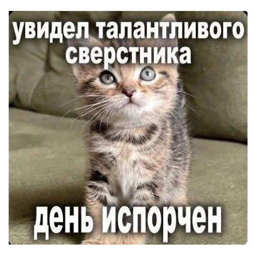 🐱 Стикер «Shao» для Telegram