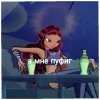 Стикер 27 Winks
